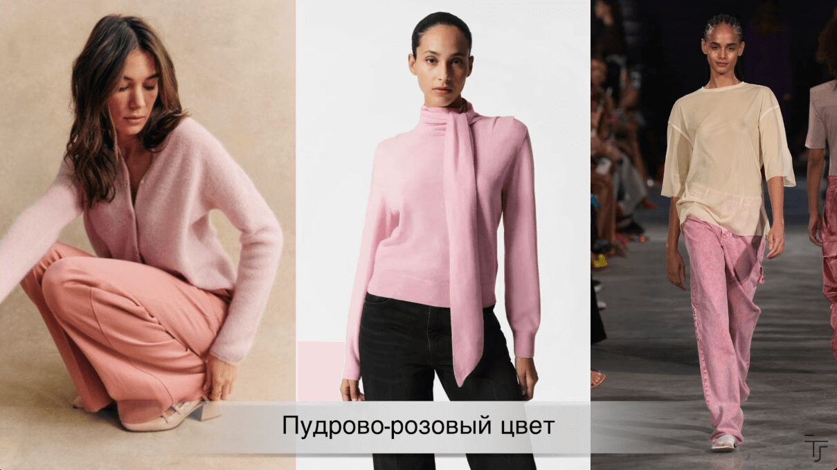 одежда