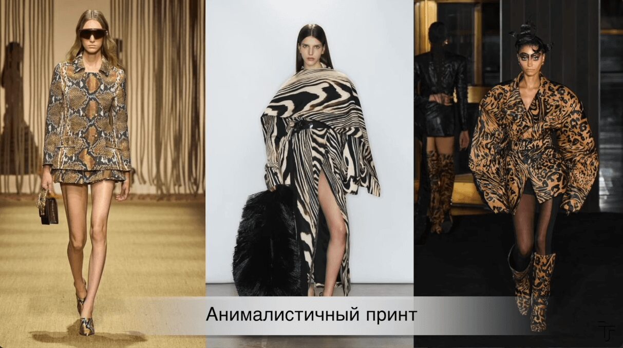 Модные мастхэвы 2025